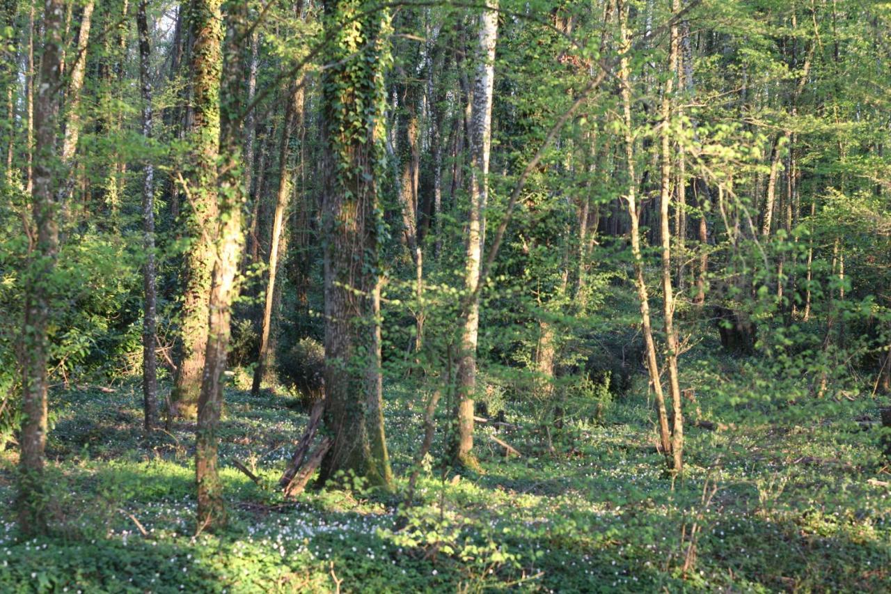 Fleurs De Brenne Gite Neuille-le-Lierre Экстерьер фото